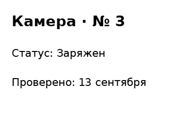 Пример заполнения: Бирка аккумулятора камеры