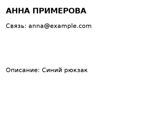 Пример заполнения: Бирка на багаж